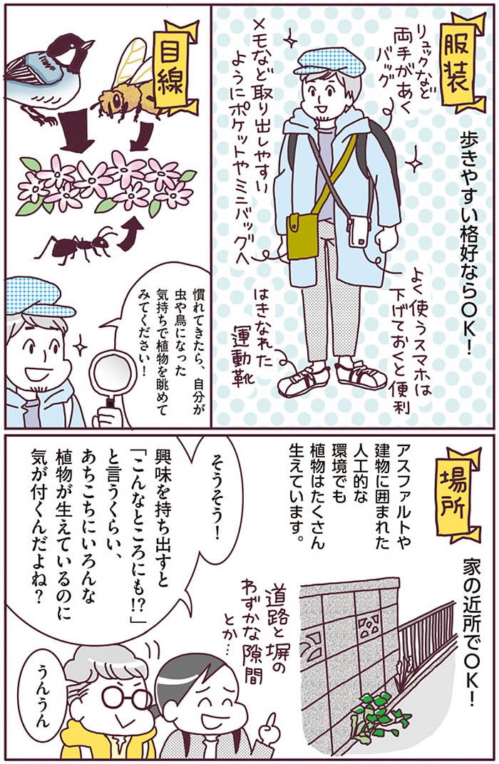 『まちなか植物観察のススメ』より。