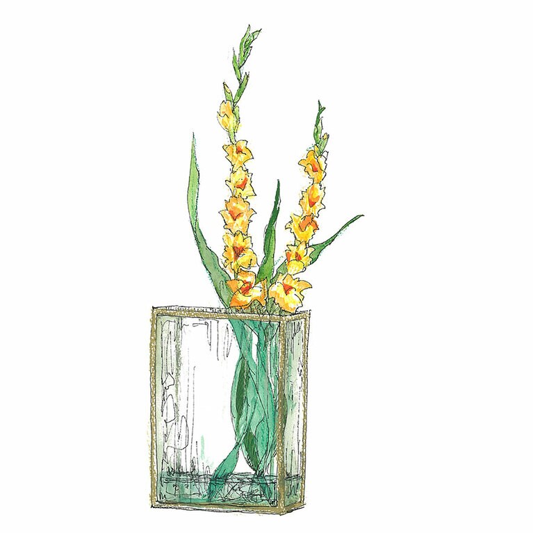 グラジオラス。