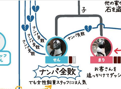 ナンパ全敗中のイケメンペンギン《せん》