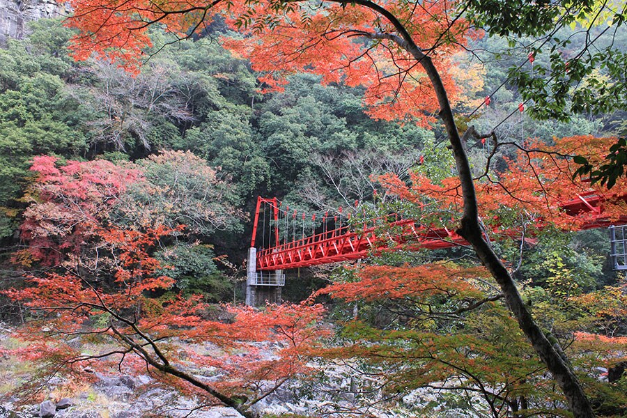 【山口県】長門峡。