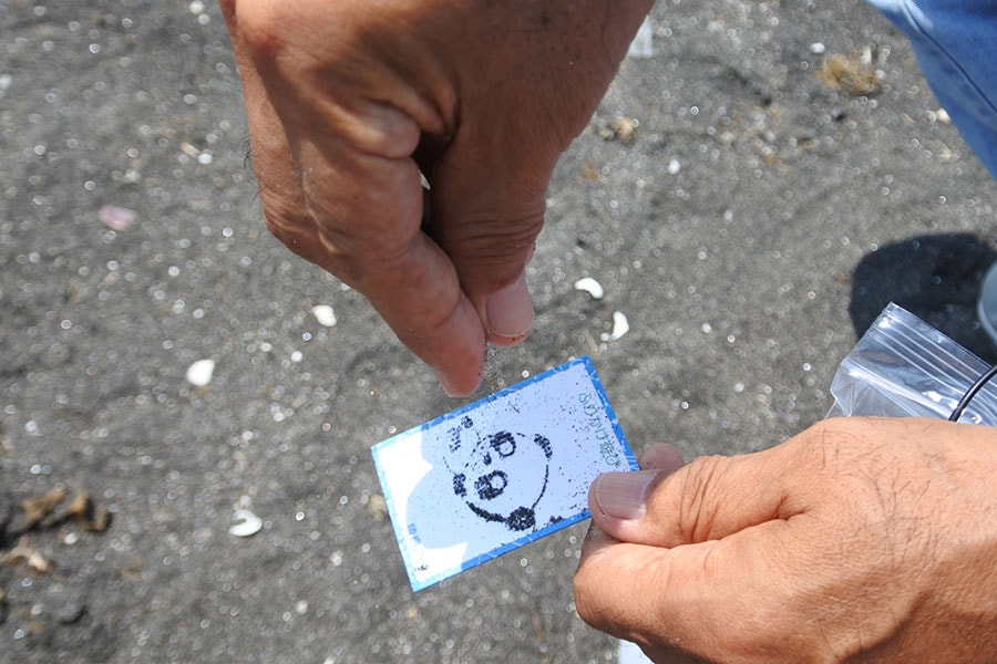 猿島の砂浜は「砂鉄の浜」と言われていて、ビーチの砂には砂鉄が混じっていることも。ガイド手作りのグッズに振りかけると、パンダの絵が出てきました。