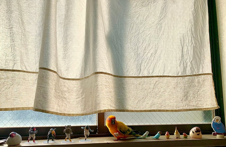 うちの子ベストショット②「隠れ身の術」