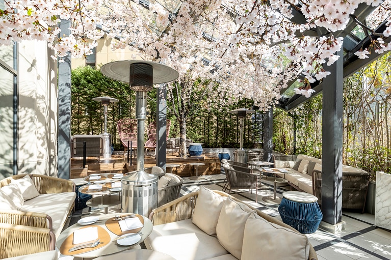 ホテル2階のモダンブラッスリー「District – Brasserie, Bar, Lounge（ディストリクト ブラッスリー・バー・ラウンジ）」のテラス席。桜の装飾は、4月末までの予定。