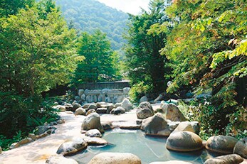 【ひらゆの森】