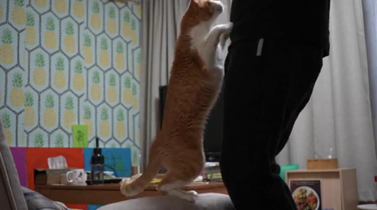 ジャンプしようとする大久保くんと川原さん。