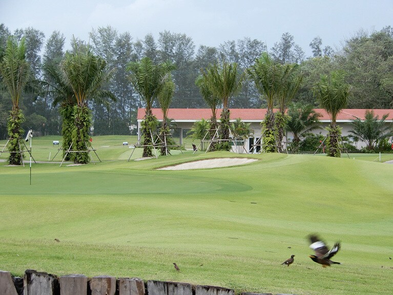 鳥が戯れるリゾート内のゴルフコース。
