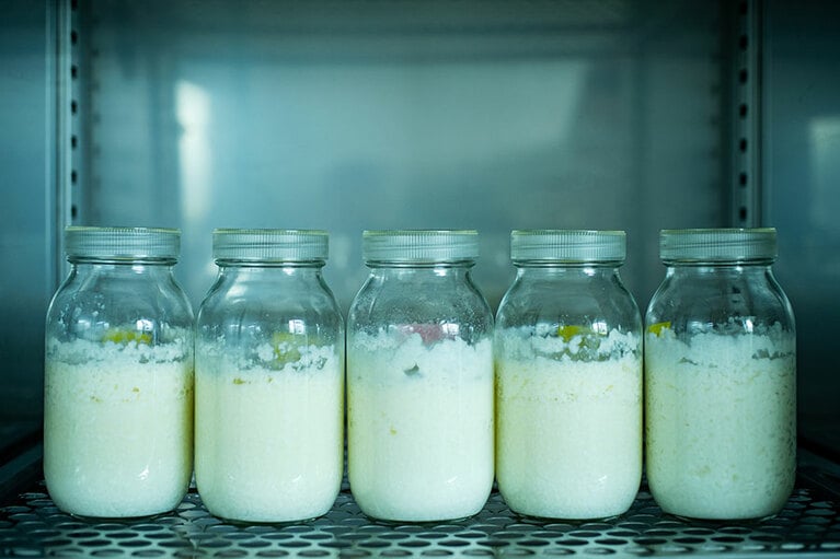 新商品には2005年より開発してきた自社酵母を使用。数千種の酵母から自然発生的に得られたものをブレンドし、より香りを綺麗に引き出します。