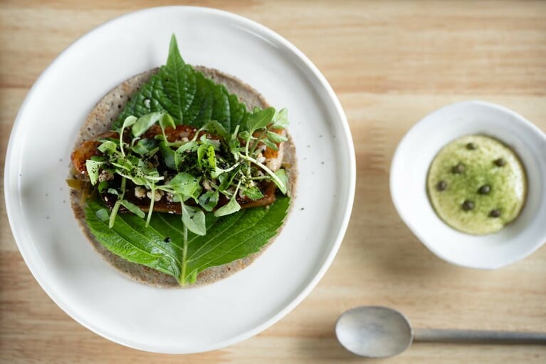 「猪のガレット」。フォアジャンの新芽や天然のクレソン、味噌を煎った「糀屋団四郎」の鉄火味噌を重ね、下には葉ワサビのピクルス。