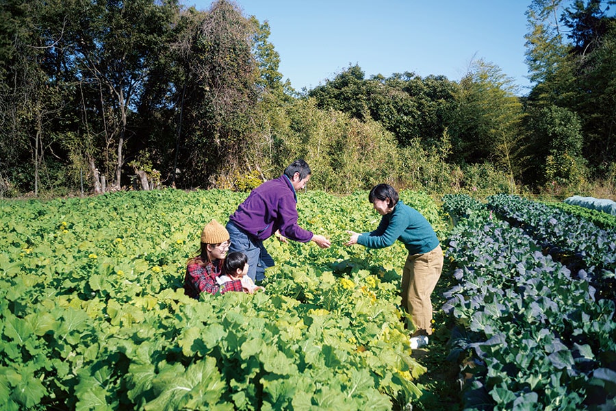 近所にある「高倉農園」の畑。農薬・化学肥料を使わず、美味しくて栄養価の高い野菜づくりを目指している。