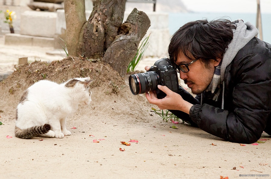 猫写真家・沖昌之さんの撮影風景。