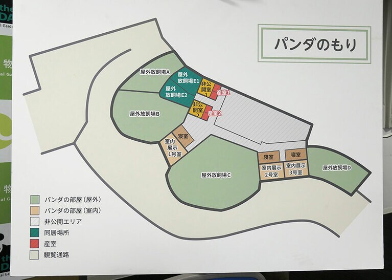 図の「同居場所」はリーリーとシンシンが同居する場所。2頭は2021年3月に同居・交尾してシャオシャオとレイレイが誕生した。2021年6月23日撮影。