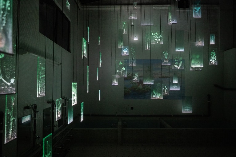 佐々木類《忘れじのあわい》2025