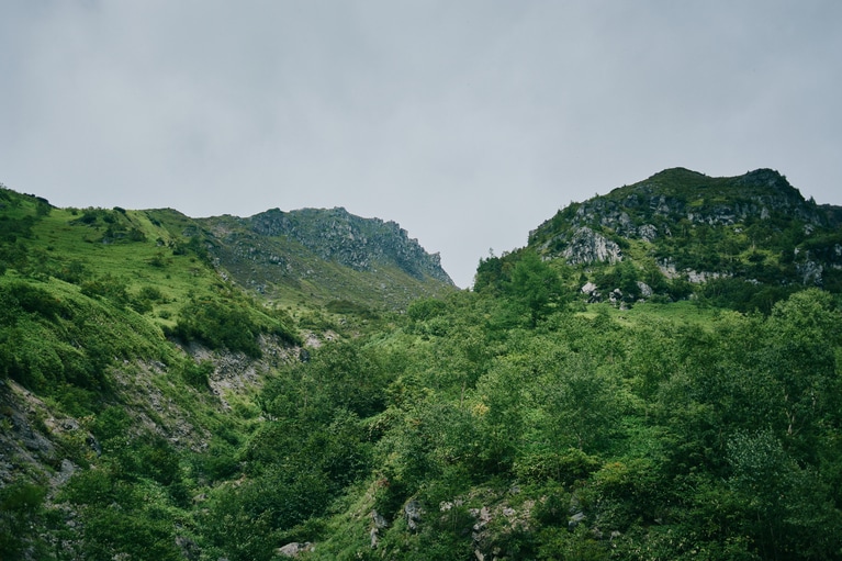 下堀沢出合を超えると森林限界を迎え、景色が一変。