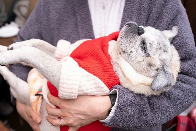 アザーカット。