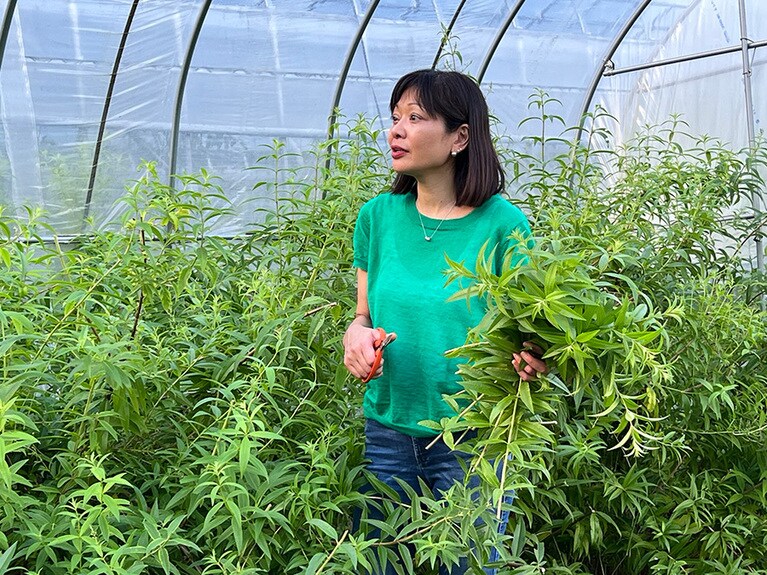  長野県「軽井沢サラダふぁーむ」にて。