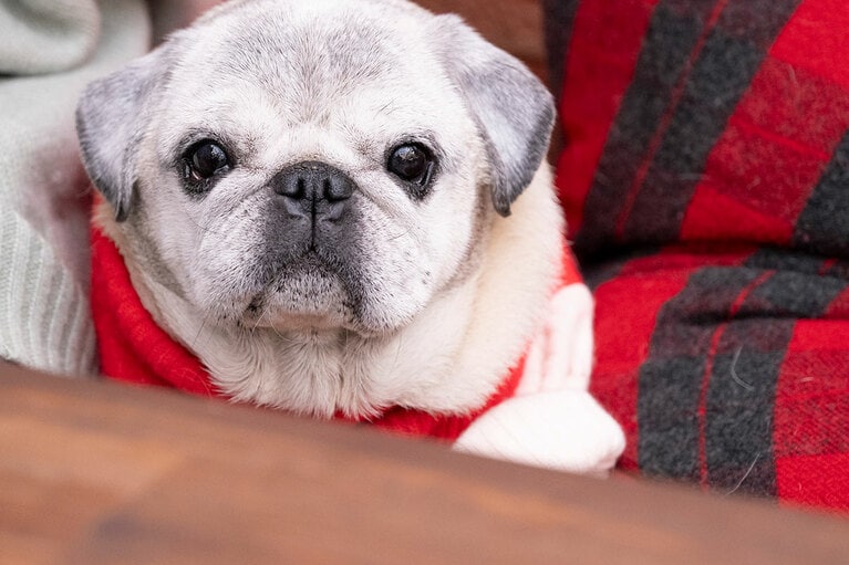 アザーカット。