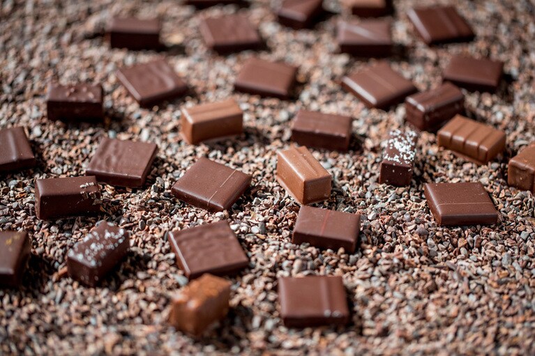 「プラリネ・ア・ランシエンヌ 詰め合わせ 8個入り(6種)」 3,350円。