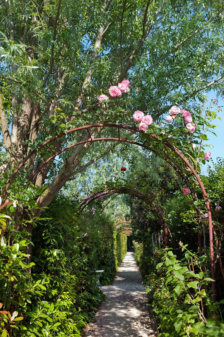 敷地内は色とりどりの花やオリーブ、柑橘類が溢れる楽園。