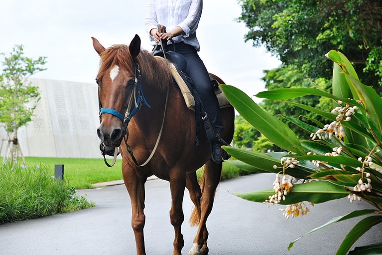 「月桃乗馬」で気分をリフレッシュ。
