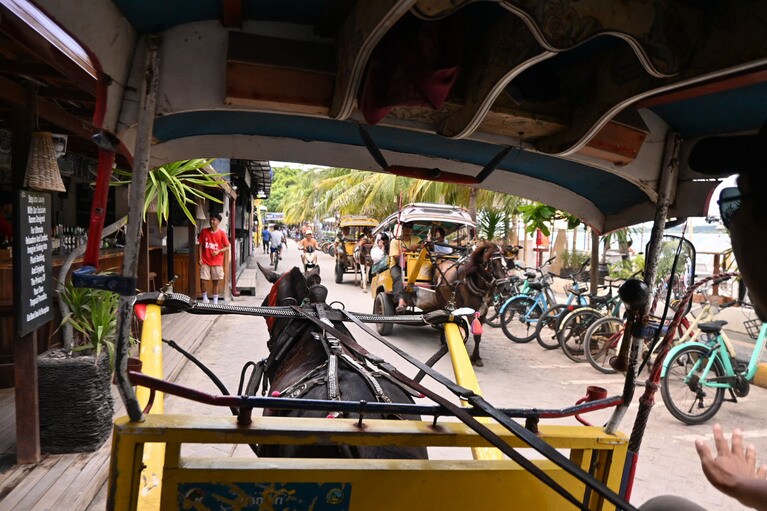 ギリ・トラワンガンでもチドモが活躍。道路脇の自転車数がすごい。