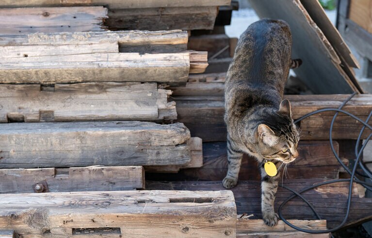 お湯を沸かすための木材。日々のチェックを欠かしません。