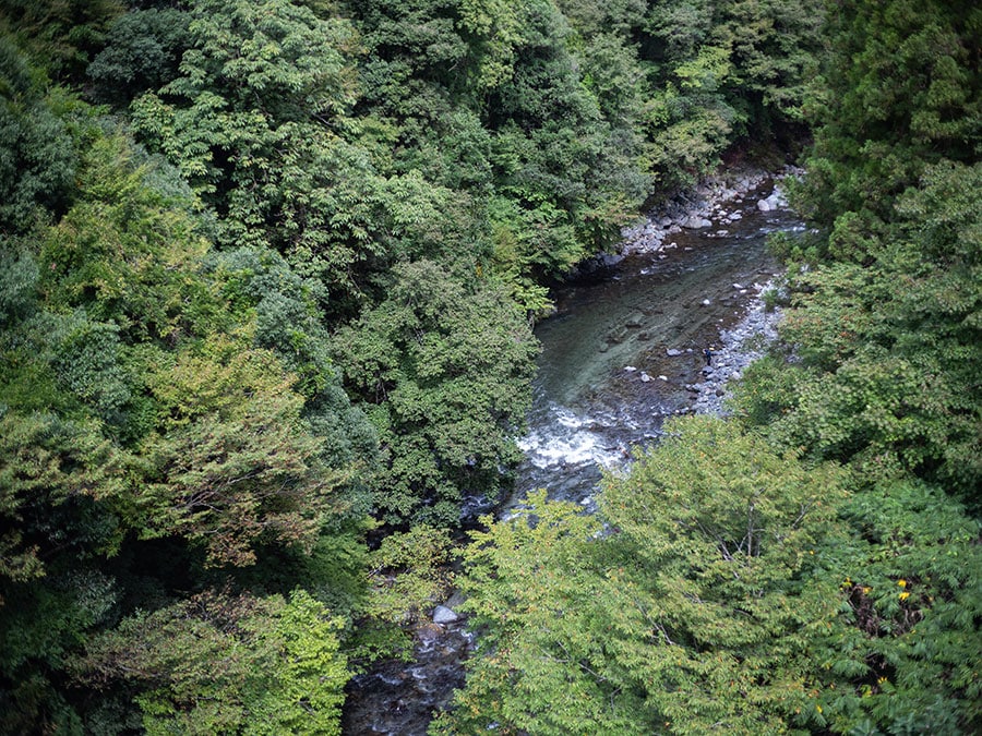 道志川の透明度は一見の価値ありです。