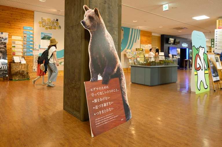 知床自然センターではヒグマや森の生態を学べる展示も。
