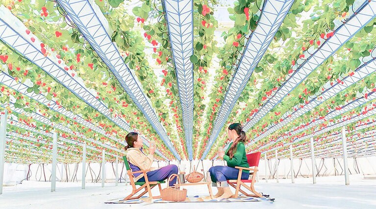 【兵庫県】グリナリウム淡路島。