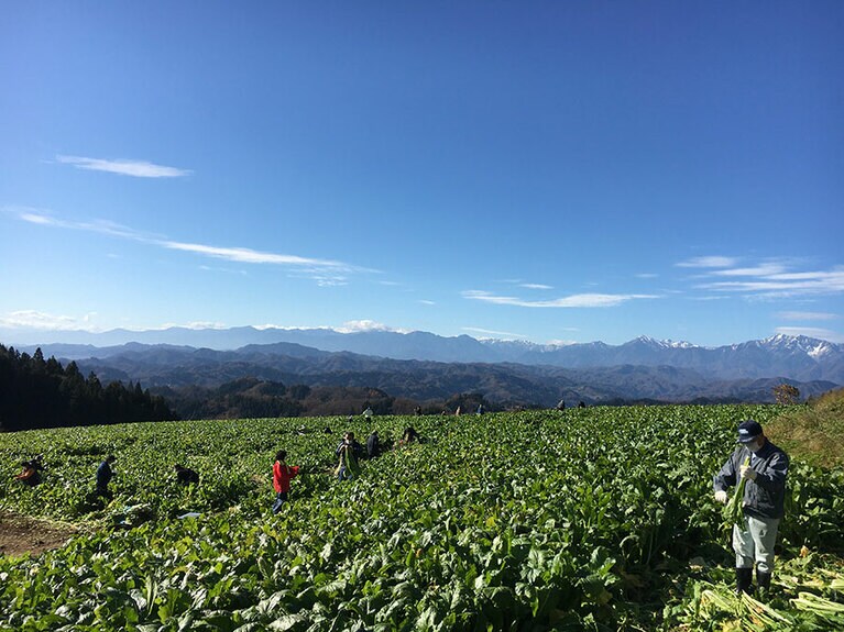 【長野県】長野市中条むしくらの里。