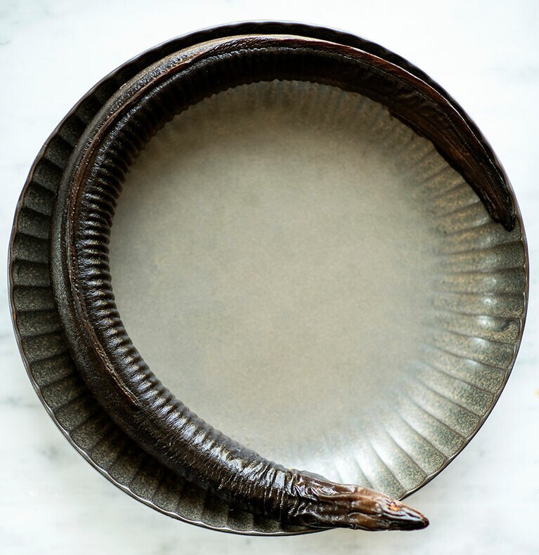 オランダ・ゼーラント地方のウナギ。