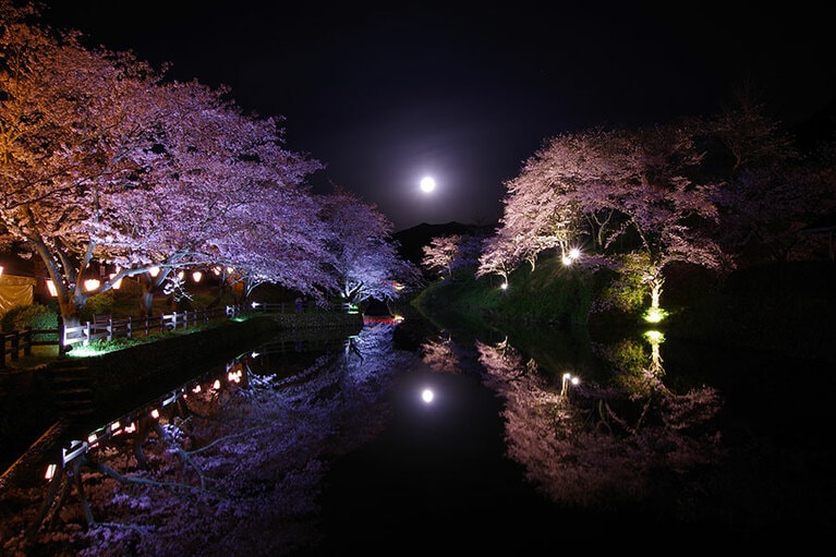 鹿野城跡公園。©鳥取県