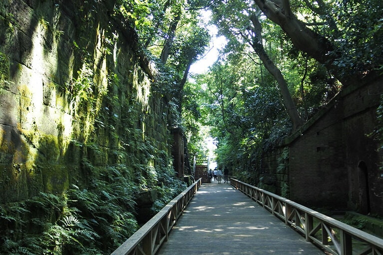 内陸部は木々が鬱蒼と茂る猿島。