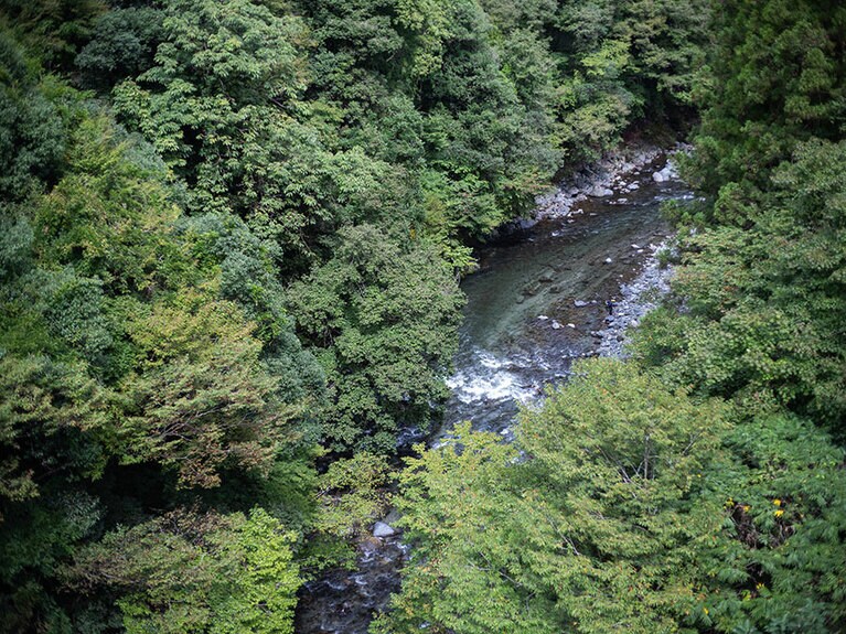 道志川の透明度は一見の価値ありです。