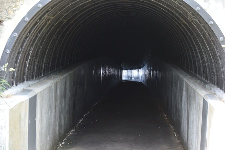 島武意海岸を目指すには、このトンネルを抜けます。