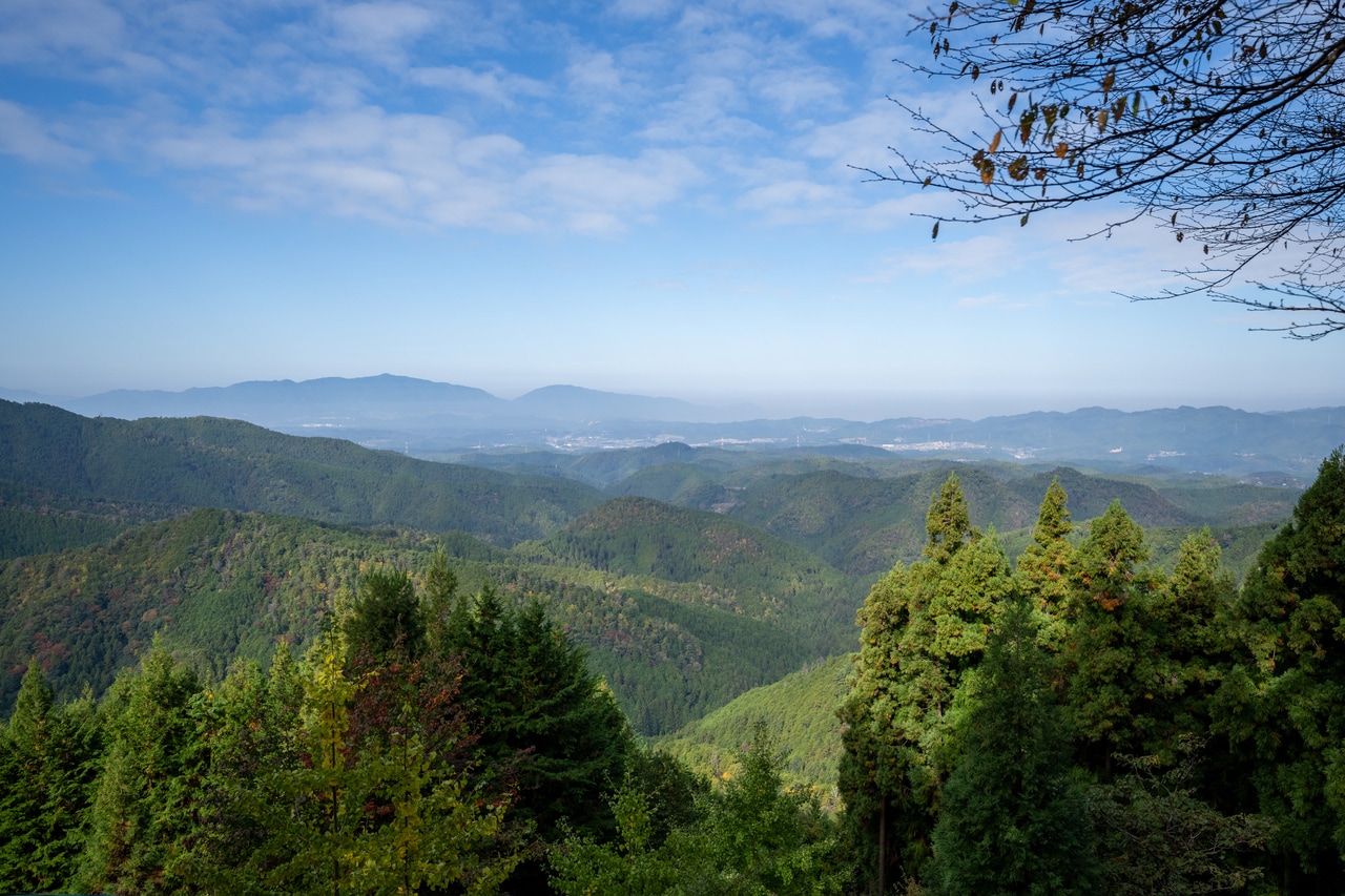 左手奥に青くうっすらと姿を見せるダイヤモンドトレール。左から金剛山、葛城山、二上山。（※上の写真では、二上山は霞んでいてほぼ見えていませんが…。）