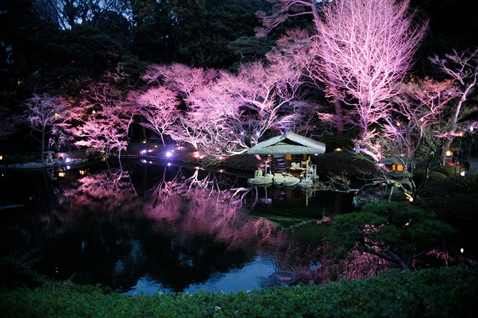 白金台・八芳園】今年は歴史ある日本庭園で春祭り。 花見酒とお団子も