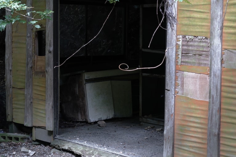 写真はイメージです。写真：Baka_19474/イメージマート