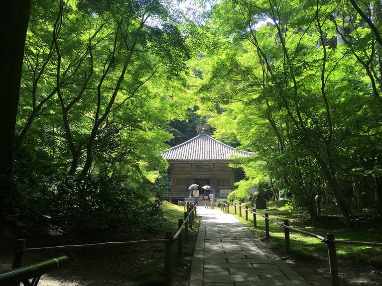 円通院の新緑／宮城県