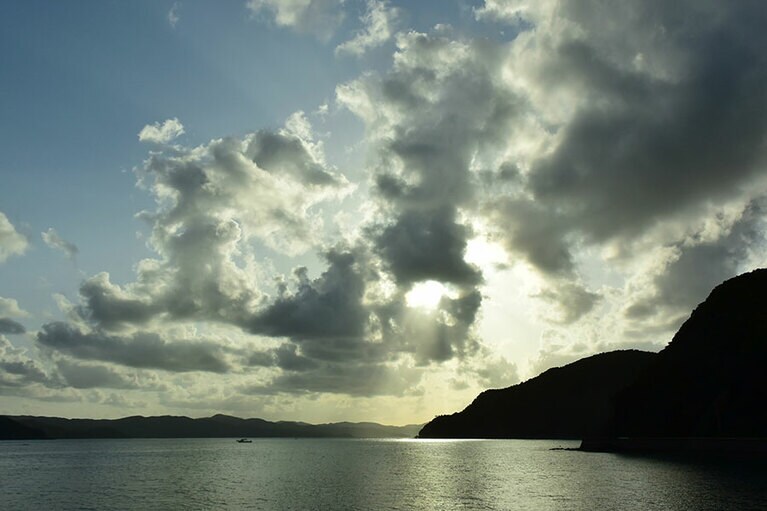 “東洋のガラパゴス”と呼ばれるには理由があります。