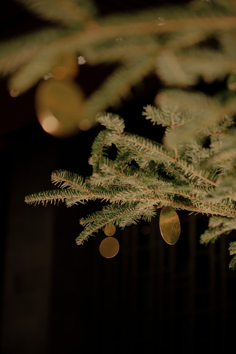 アマン東京のクリスマスツリー。