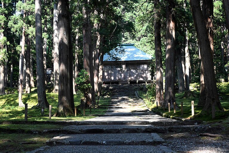 717年に開かれた平泉寺白山神社。木々や苔に、時の流れを感じます。