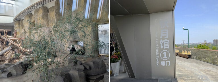 「秋月館」の屋内にいた幸浜。2025年4月30日（水）。