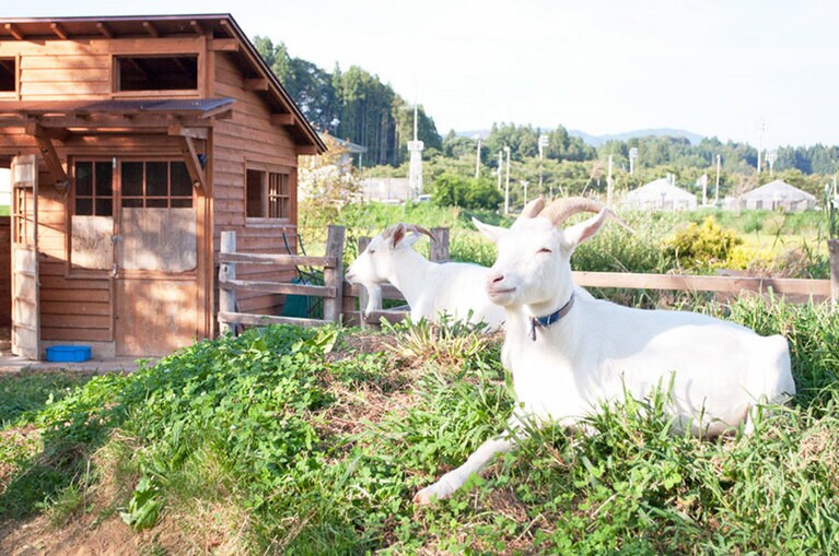 ガーデンスタッフとしてゲストを迎える陽くんと希ちゃん。