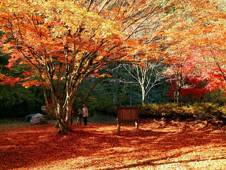 名馬里ヶ淵／茨城県