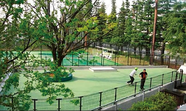 世田谷公園 スケートボード広場。