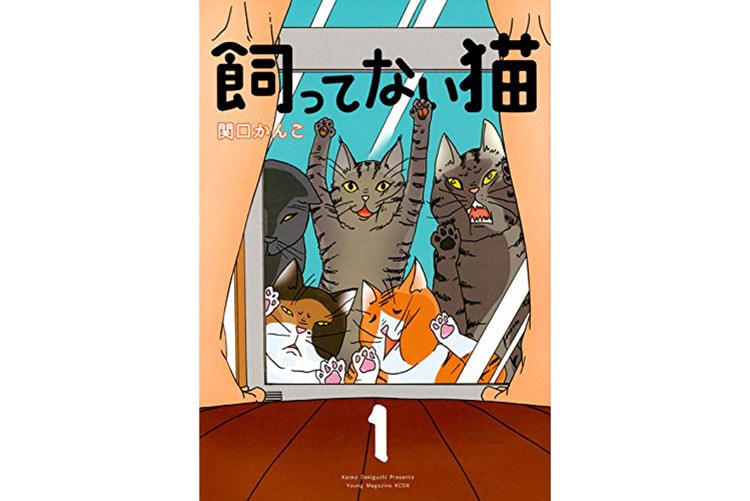 『飼ってない猫』関口かんこ／講談社