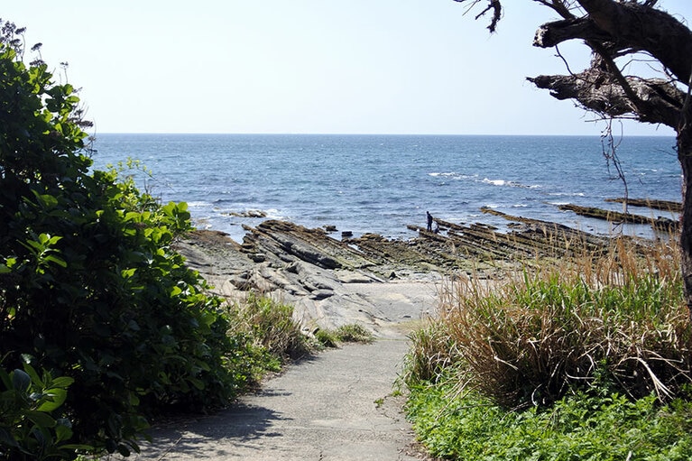 道をまっすぐ進み、森を抜けると、磯遊びのできる浜へ。