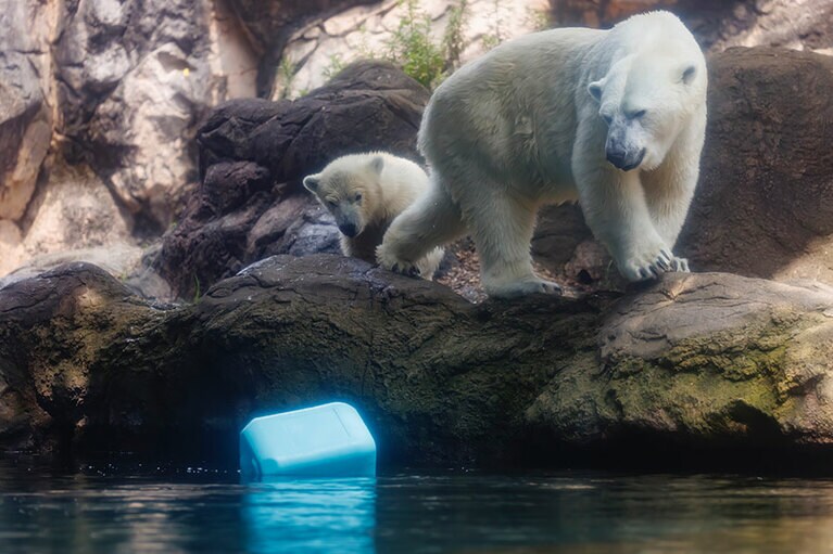 イッちゃんとライ。