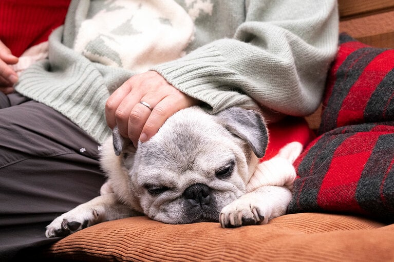 アザーカット。