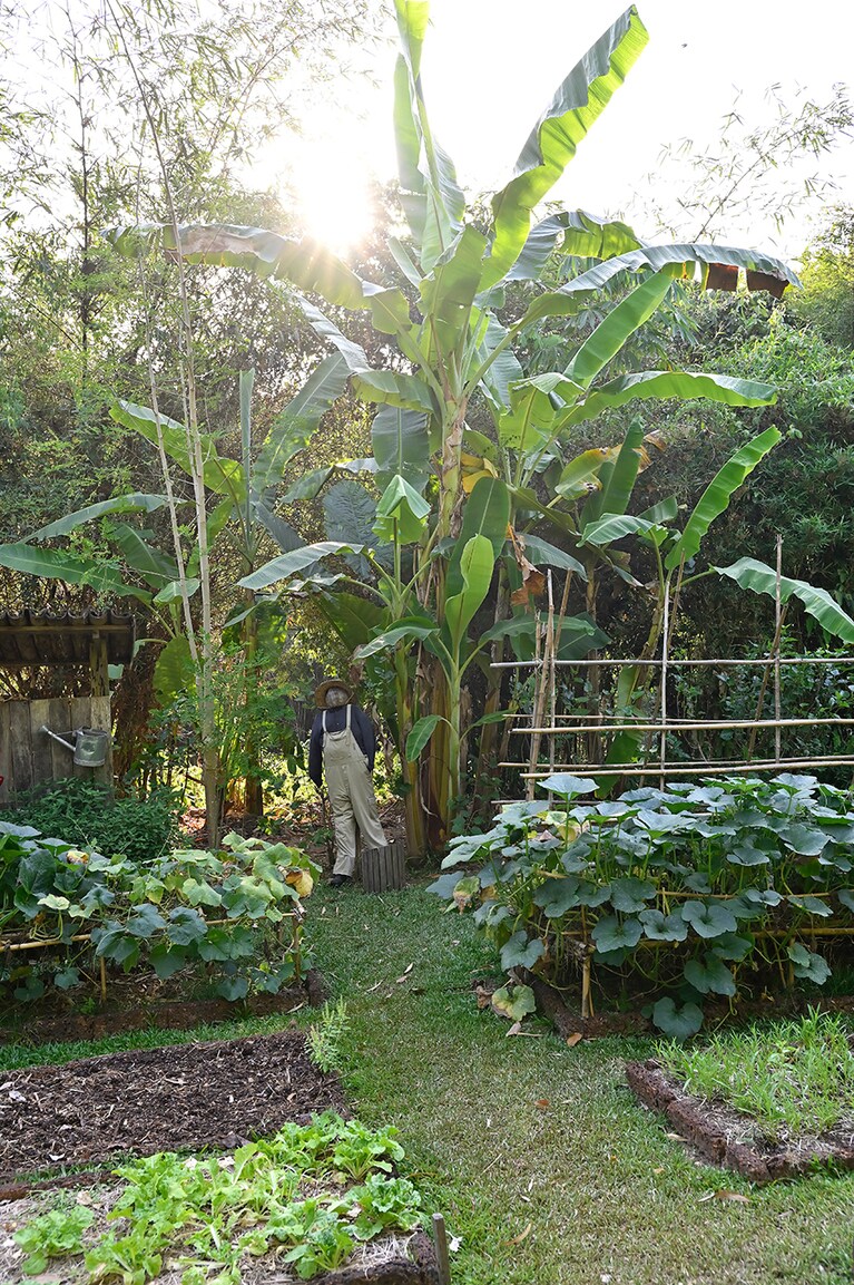 クッキングクラスでは、オーガニックガーデンでハーブを摘むところから始まる。
